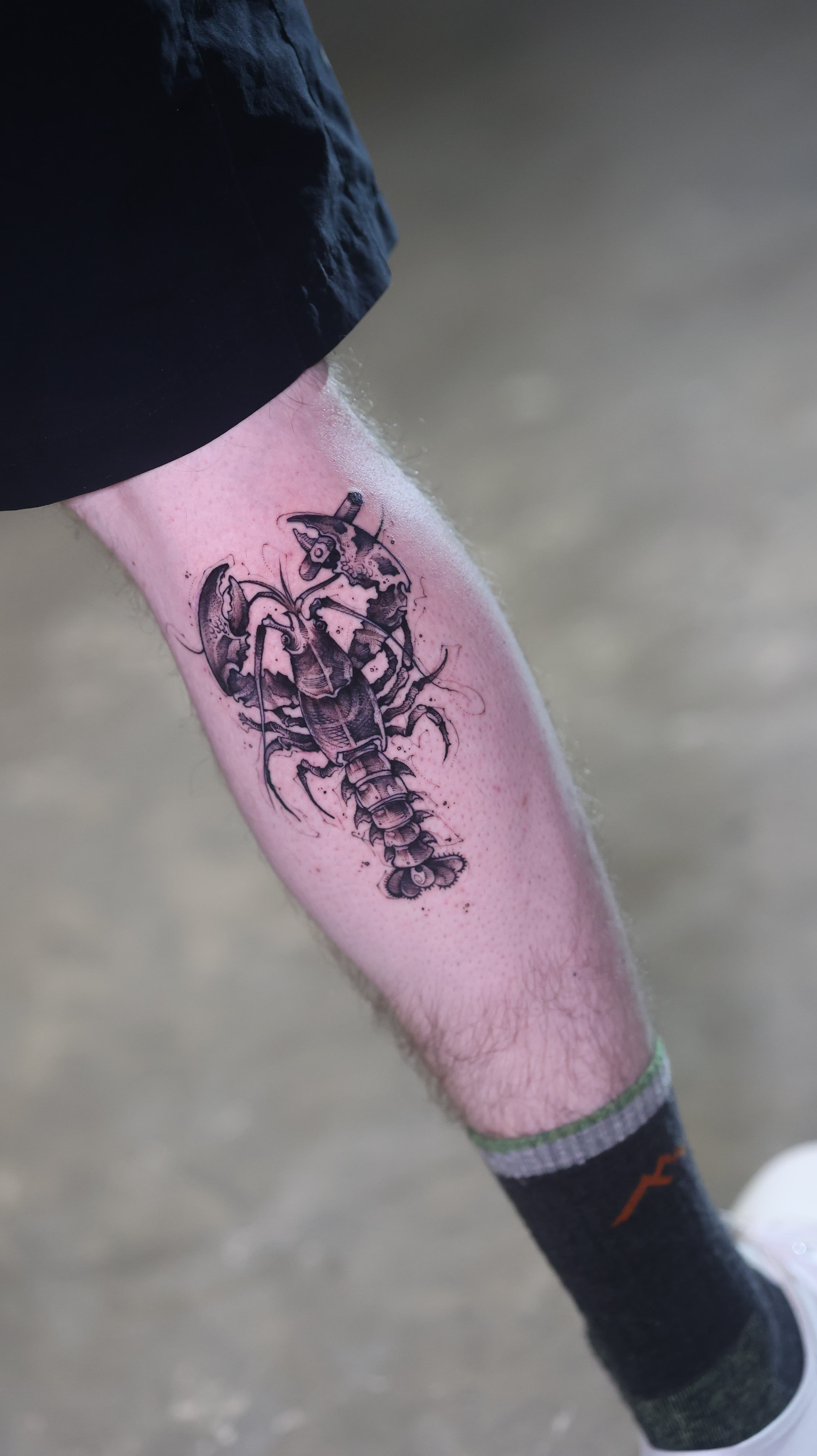 Sketch-style lobster tattoo with loose pencil marks by Riverón